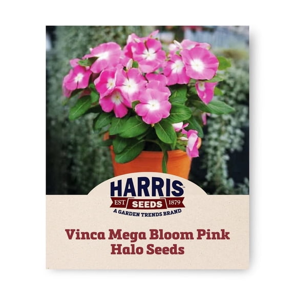 Harris Seeds Mega Bloom Pink Halo Vinca, Non-GMO Annual Periwinkle Flower Variety, 25 Count
