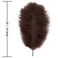 thumbnail image 3 of Plumas de avestruz marrones Soarer de 30 a 35 cm para manualidades, 15 unidades, 3 of 6