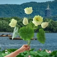 thumbnail image 6 of Artificial Realistic Lotus Flower Bouquet, High-Quality Lotus Decoration, Durable Artificial Flowers, Suitable For Home Altars And Meditation Spaces, Realistic Petal Design, 6 of 6