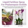 thumbnail image 4 of Home Gardening Fertilizer Spray Promotes Healthier Leaf Growth 100ml, 4 of 6