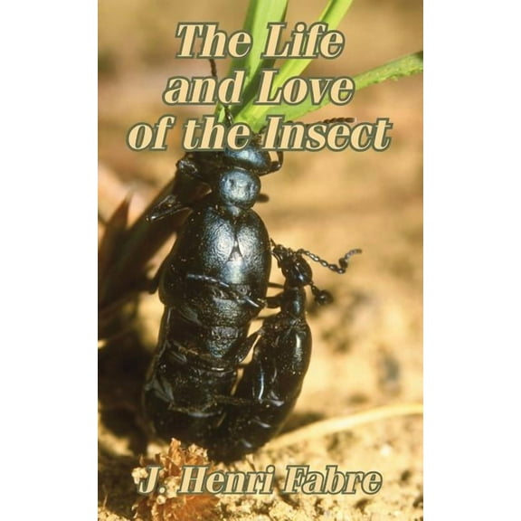 The Life and Love of the Insect (Paperback)