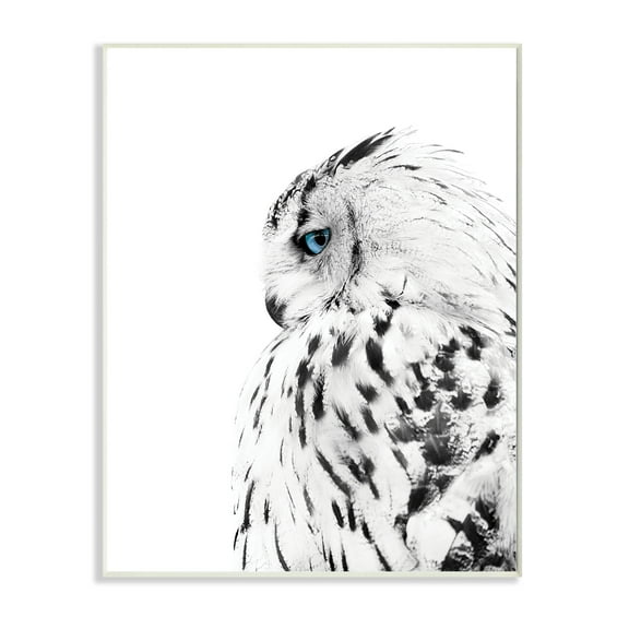 Stupell Industries Snow Owl White Feathers Peering Blue Eyes,13 x 19,Designed by Design Fabrikken