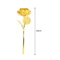 thumbnail image 4 of AMLESO Rose Flower with Clear Window Gift Box Durable for Hotel Grandma Living Room Gold, 4 of 8