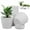 4.8"White, variant on 4"Plant Pots,Tutuviw 8 Pcs Small Plastic Planter with Drainage Hole and Saucer,Seedling Pots,Decorative Nursery Flower Pot Bulk for African Violet Succulent and All House Plants Indoor