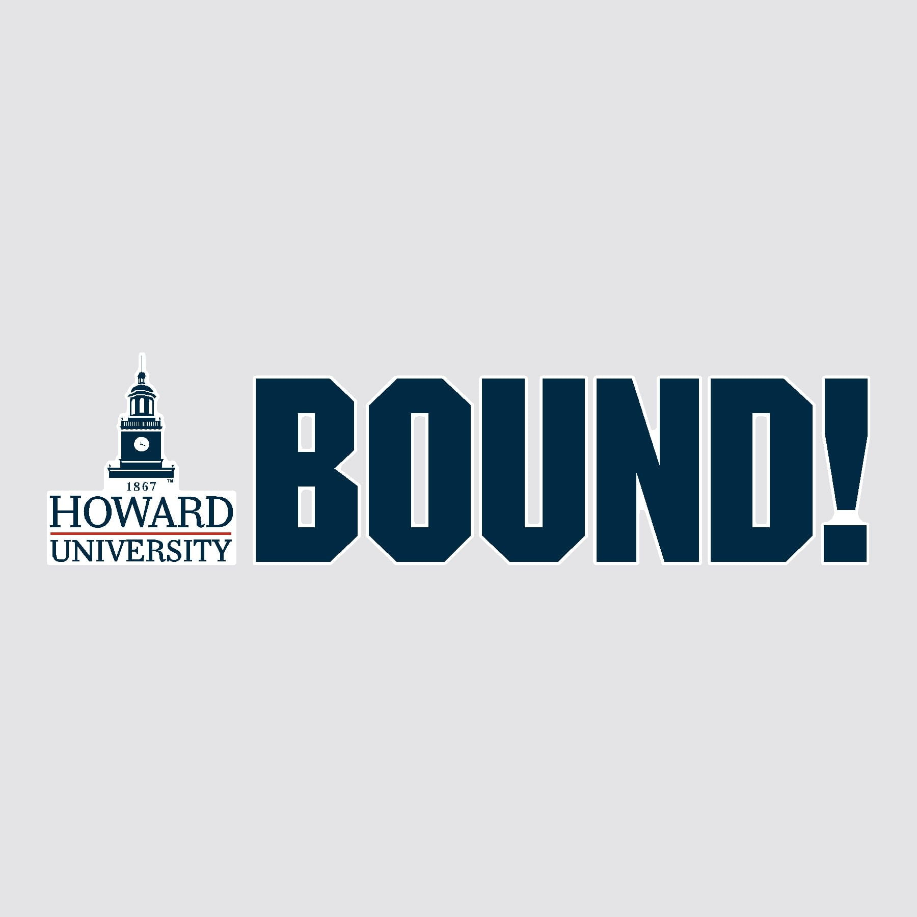 Howard University BOUND Mascot Yard Sign Set