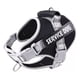 thumbnail image 4 of Pechera Arnés Reforzada Ajustable Para Perro De Servicio F&f, 4 of 6