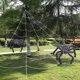 thumbnail image 3 of Tela de araña triangular de Halloween Tela de seda de araña negra de simulación de algodón (D), 3 of 9