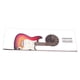 thumbnail image 2 of Póster de acordes de guitarra Diagrama de acordes de guitarra Herramienta multiusos para aprender guitarra Guitarra Escala de guitarra, 2 of 9