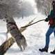 thumbnail image 5 of Correa de cuerda para perros, cuerda para perros resistente con asa acolchada, nailon trenzado de ocho hebras, cuerda para perros antideslizante, hebilla de seguridad giratoria para perros pequeños y medianos de 1,2 m ER, 5 of 5