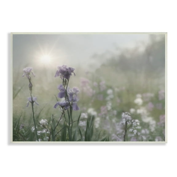 Stupell Industries Morning Violet Field Blooming Sung Glare Photography, 19 x 13,Design by Lori Deiter