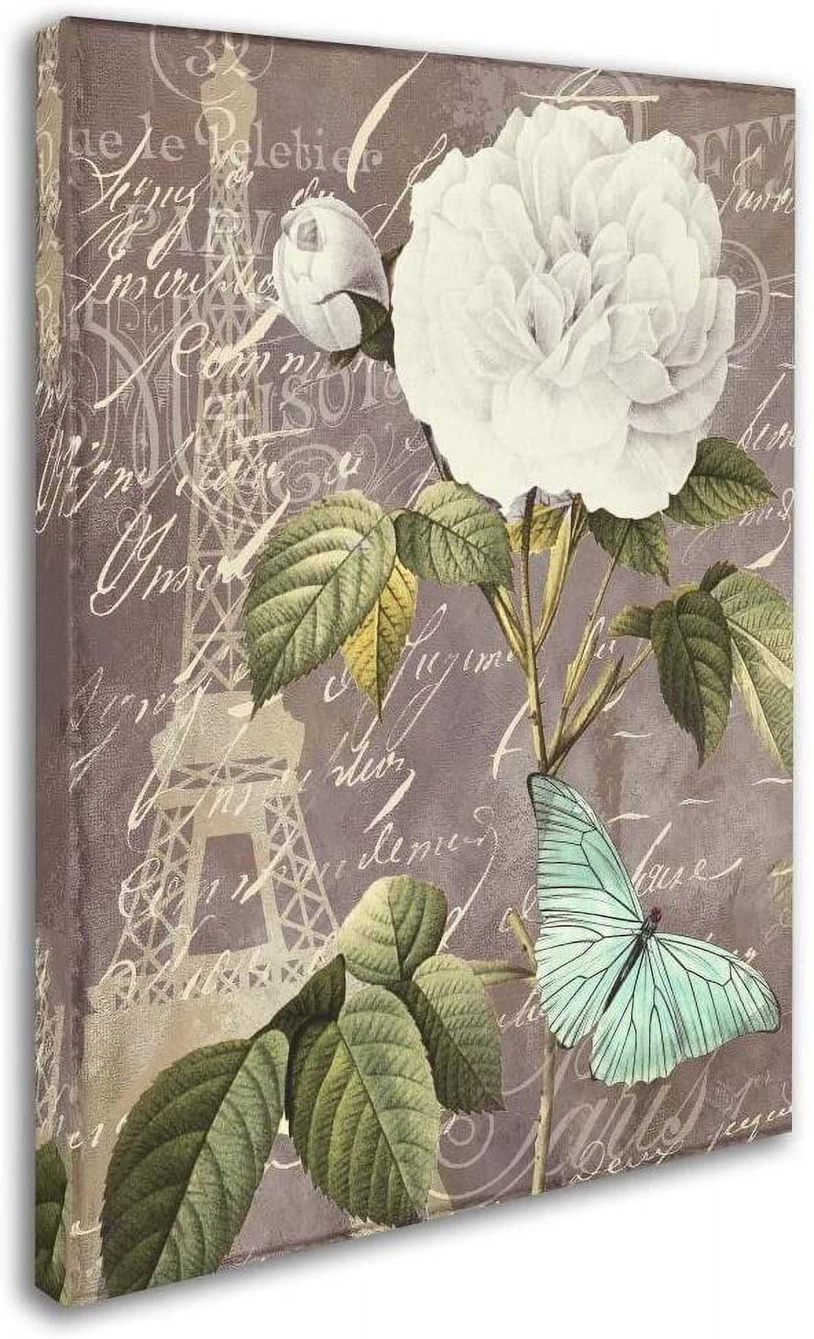 Trademark Fine Art "White Rose" Canvas Art by Color Bakery