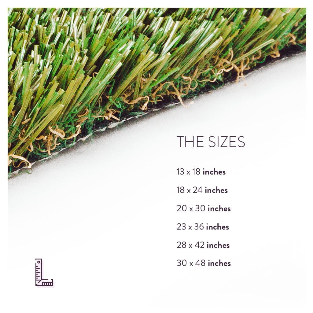 MegaGrass Pomeranian 20 x 30 in Artificial Grass for Small Pet Dog Potty Indoor/Outoor Area Rug