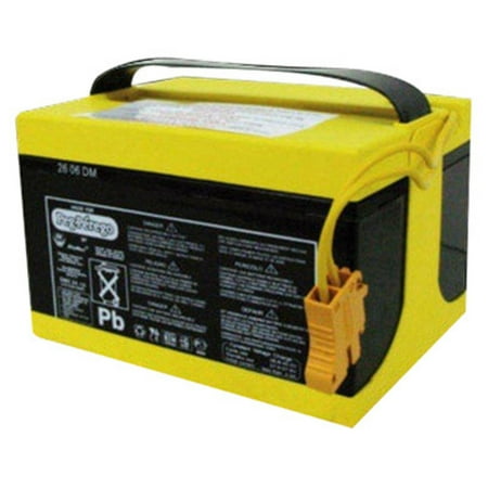 Peg Perego 24-Volt Battery