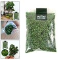 thumbnail image 2 of relayinert Scène Accessoires Feuille Micro Paysage Feuilles Modèle pour Table Sable Train Verdâtre 50ml 1Set, 2 of 6