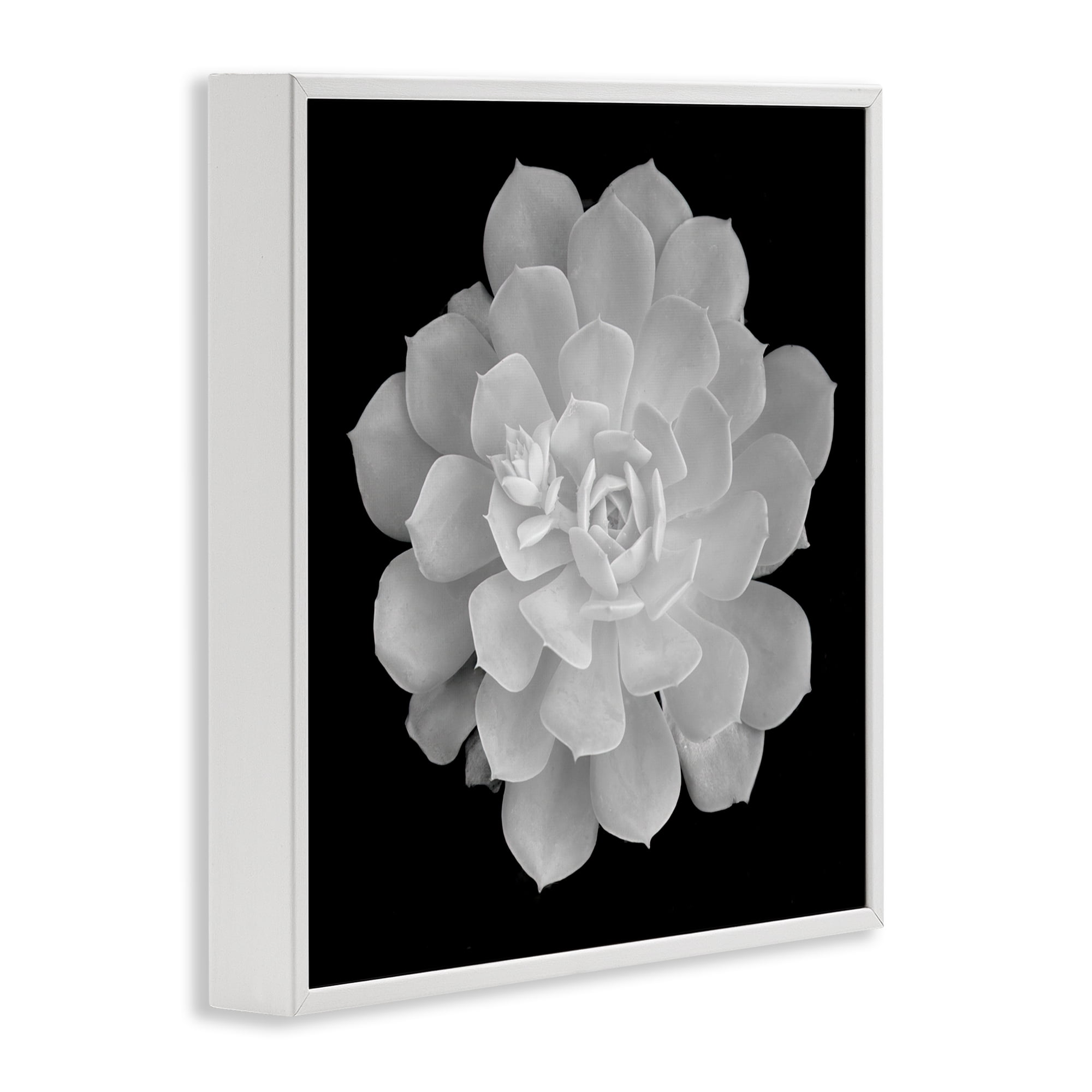 Pure White Succulent Contrast White Framed Giclee Art, design by Phillip Flowers