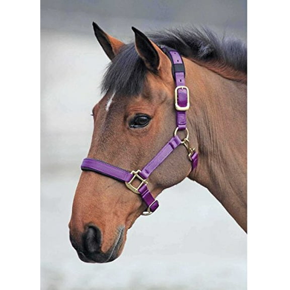 Shires Topaz Leather Breakaway Nylon Halter Purple Pony