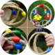 thumbnail image 4 of Juego de playa con anillo de férula de cuerda natural para exteriores para niños, 20 piezas, juego de lanzamiento de madera para niños, padres e hijos, 4 of 6