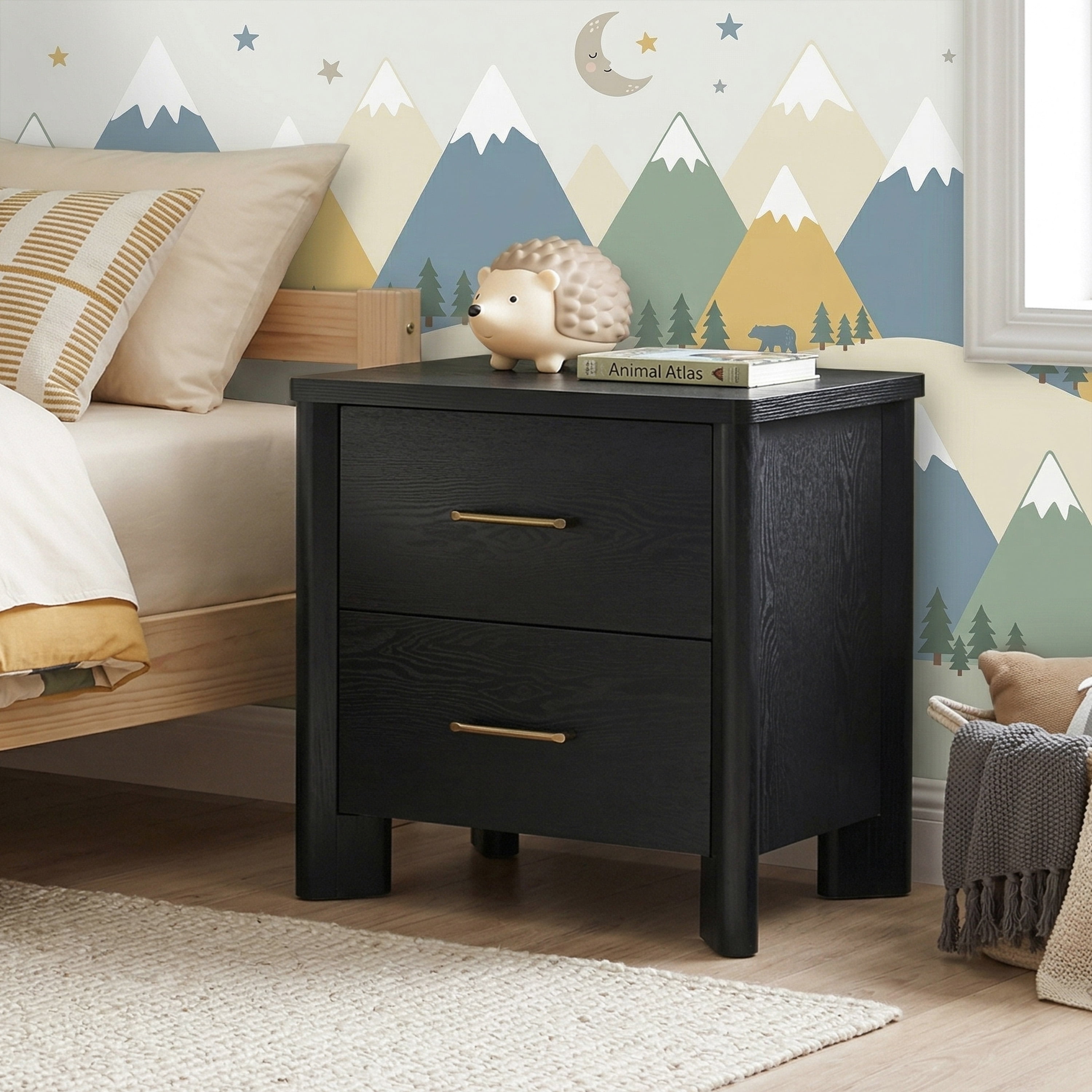 Furniture of America Gracie Modern Wood 2-Drawer Nightstand with USB Ports, Black