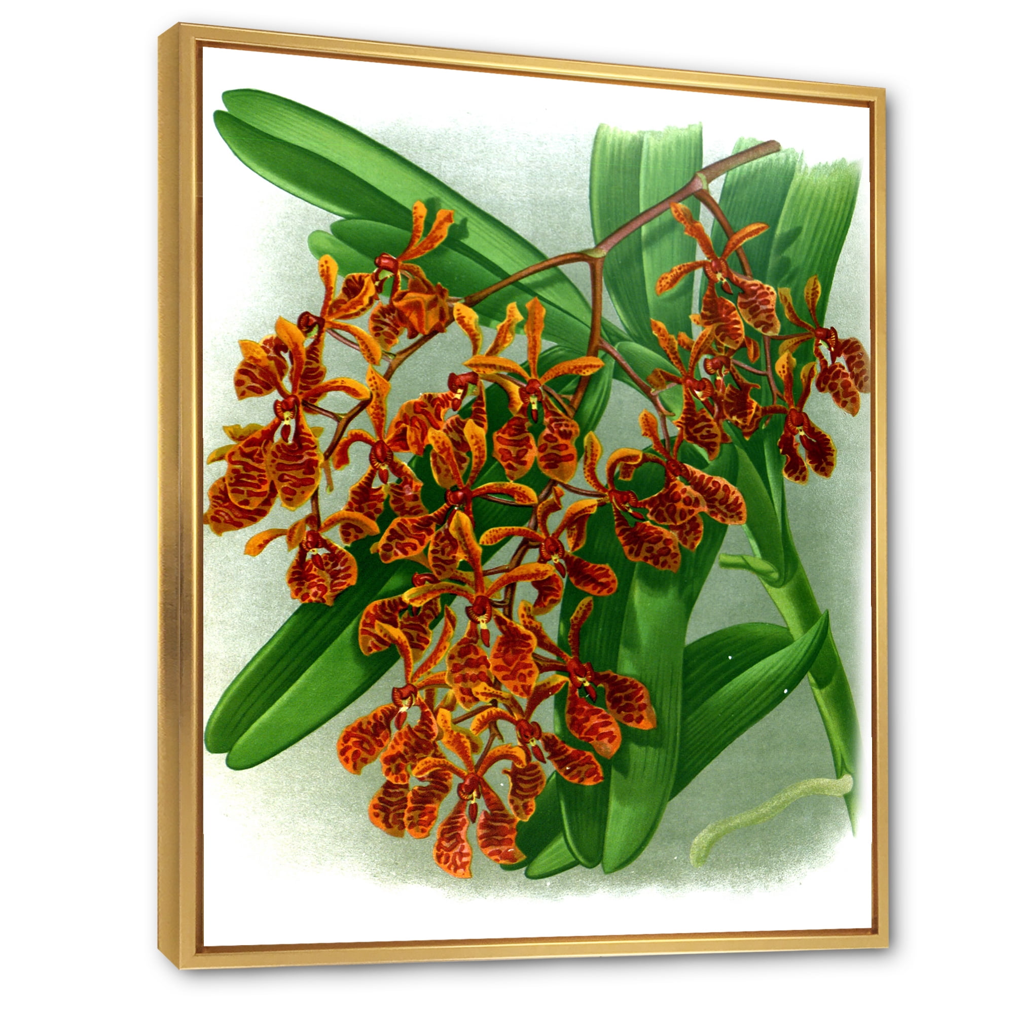 Designart 'Flowers Retro II' Farmhouse Framed Canvas Wall Art Print
