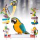 thumbnail image 3 of Juguetes Gigantes Para Columpio De Pájaros, Jaula Para Loros, Juguetes Para Morder, Bloque De Madera, Jaula Para Pájaros, Hamaca, Juguete Colgante Para Periquitos, Cacatúas O Loros Medianos Y Pájaros Muyoka Hogar, 3 of 7