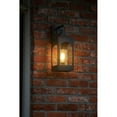 thumbnail image 2 of 18084DSZ Hinkley Lighting Amina - 1 Light Medium Outdoor Wall Mount Lantern, 2 of 12