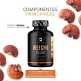 thumbnail image 3 of Hongo Reishi Antioxidante B Life 100 Cápsulas, 3 of 7