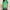 Army Green, variant on Generic Printed Scrubs Top for Womens Fun Medical Proffesional V Neck Short Sleeve Working Shirts
