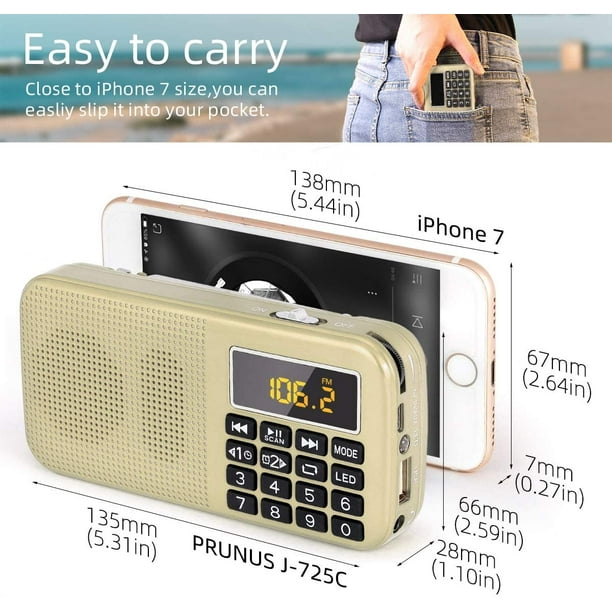 Avantree SP850 Radio FM Portable haut-parleur Bluetooth et carte