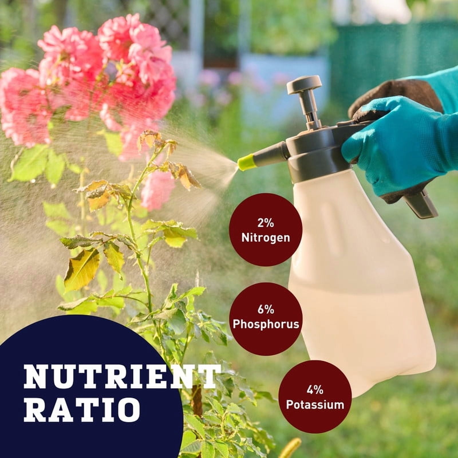 Neptune's Harvest Rose and Flowering Formula 2-6-4 Liquid Fertilizer, 36 oz
