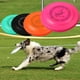thumbnail image 4 of Disco para perros de 23 cm, mejor vuelo, resistente a pinchazos, Frisbee para perros, no es un juguete de grado de competencia, entrenamiento con disco volador al aire libre Xemadio 2035152-1, 4 of 8