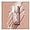 #02 Candlelit, variant on Jutqut Liquid Highlighter Makeup, Liquid Glitter Monochrome Makeup Stick Silky Smooth, 01#Rose Quartz