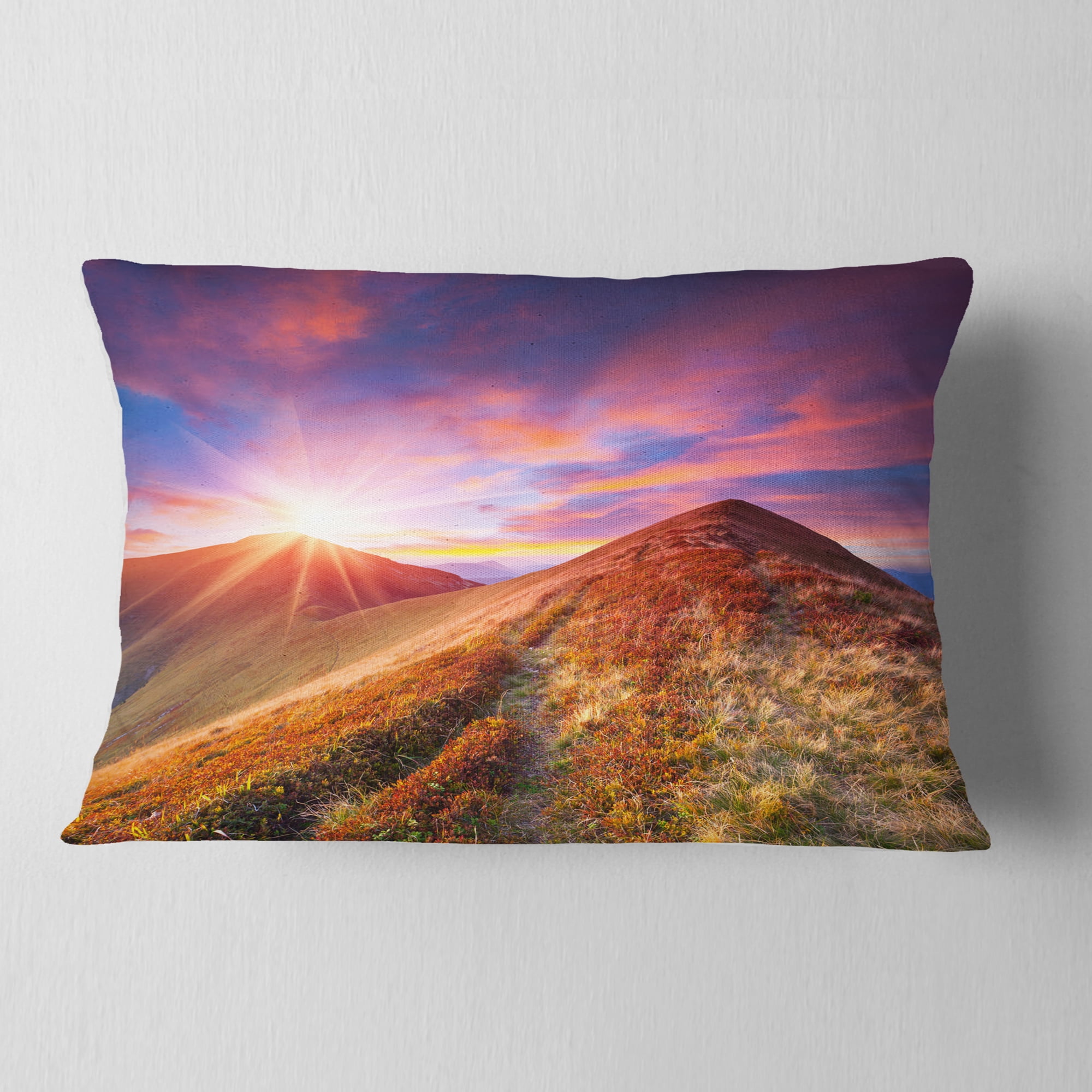 Designart Colorful Grass and Clouds - Landscape Photography Throw Pillow - 12x20
