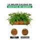 thumbnail image 2 of Maceta de Madera tipo Jardinera de oreja.207 Hanlob Jardinera de oreja, 2 of 7