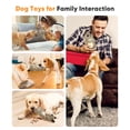 thumbnail image 7 of Petbobi Squeaky Dog Toy Interactive Plush Squirrel Dog Toy with Treat Dispenser & Slow Feeder Puzzle for Small, Medium & Large Dogs, Grey, 7 of 7