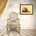 thumbnail image 3 of Rotenberg, Nancy 14x11 Gold Ornate Wood Framed with Double Matting Museum Art Print Titled - MT, Lee Metcalf NWR Silhouette of damselfly, 3 of 4