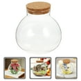 thumbnail image 3 of HLONK Pot en Verre Rond DIY Bouteille Écologique pour Plantes en Liège Terrarium Micro-Paysage, 3 of 6