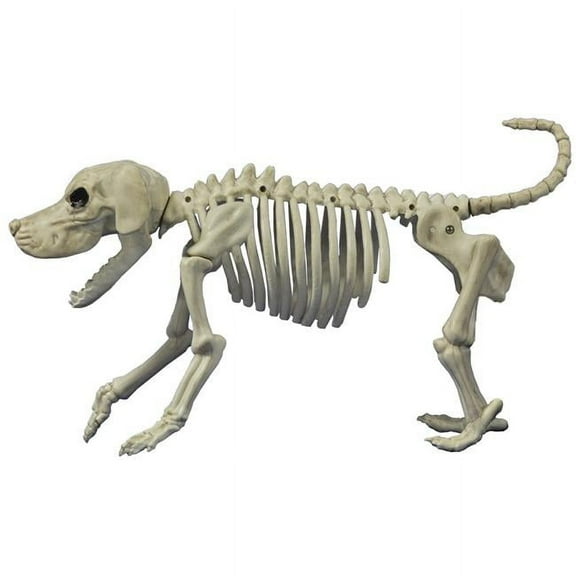 Morris Costumes SE18131 Beagle Bonez Costume