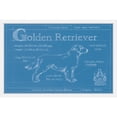 thumbnail image 2 of Marmont Hill "Blueprint Golden Retriever" Framed Painting Print, 2 of 5