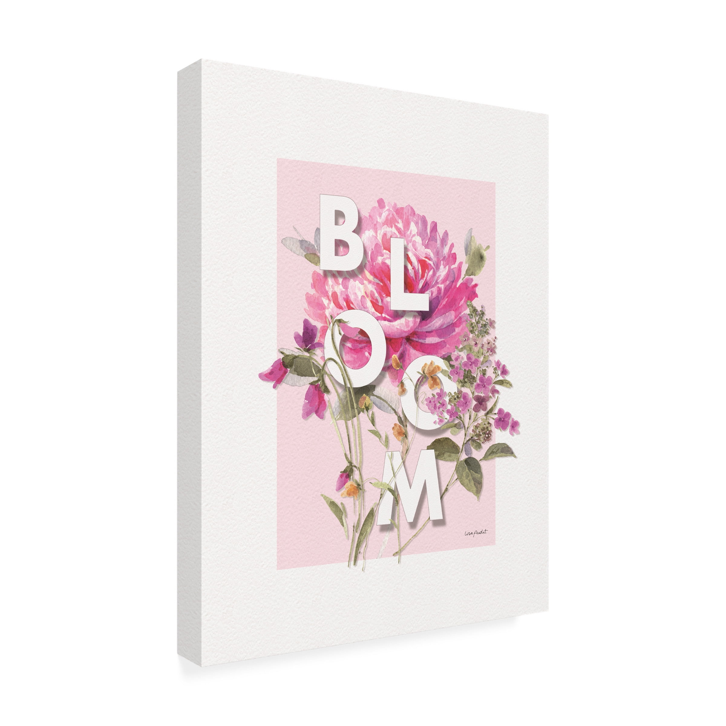 Lisa Audit 'Obviously Pink 09' Canvas Art