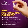 WellnessOne ProOneZyme Systemic Enzymes with Nattokinase and Bromelain