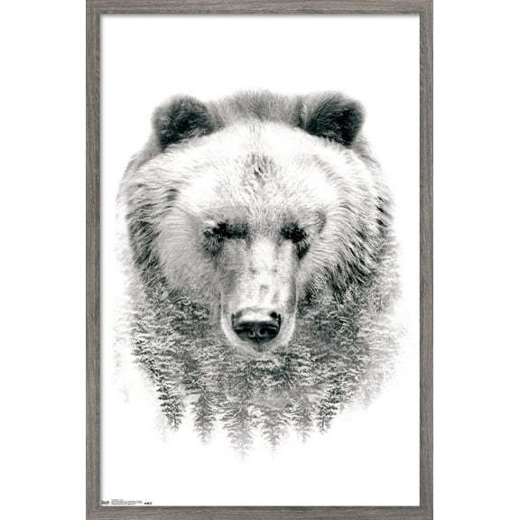 Bear - Trees Wall Poster, 22.375" x 34", Framed