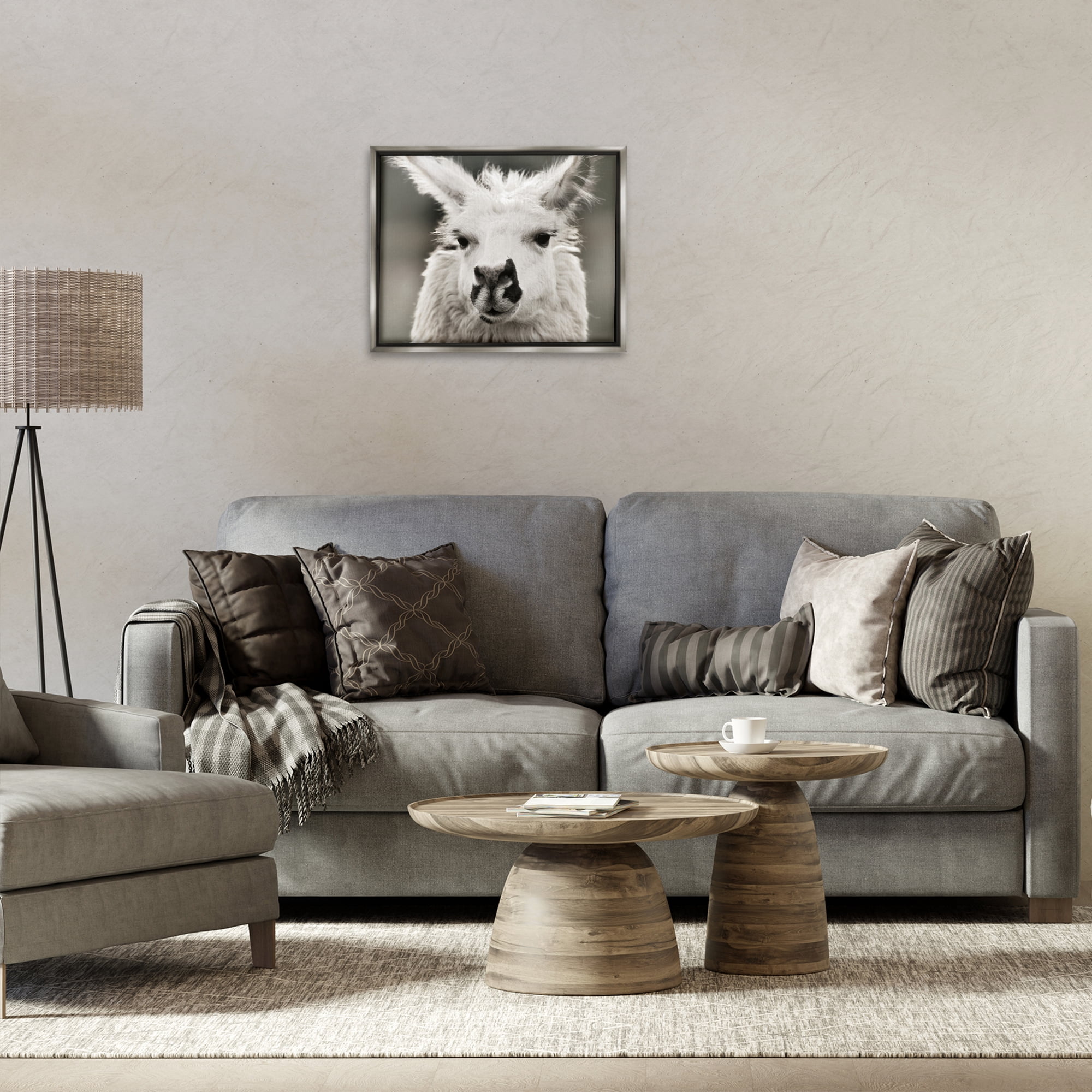 Stupell Industries Llama Gazing Portrait Animals & Insects Photography Gray Floater Framed Canvas Art Print Wall Art, 21 x 17