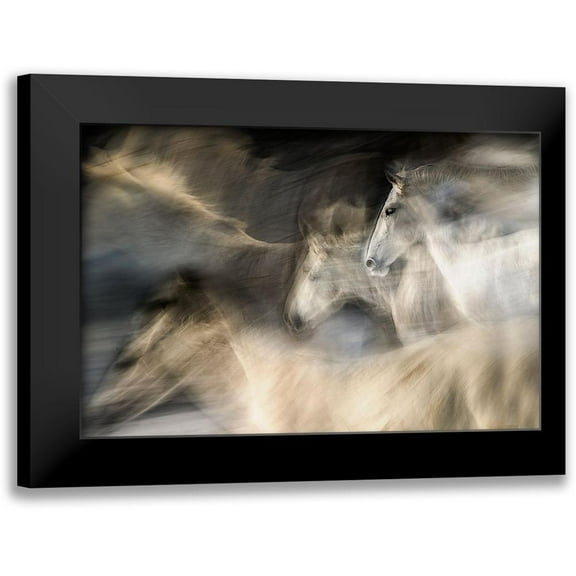 Malovrh, Milan 14x11 Black Modern Framed Museum Art Print Titled - In Motion
