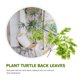 thumbnail image 2 of 2 PCS Plantas colgantes de pared artificial Decoración de pared de ratán, 2 of 6