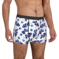 thumbnail image 5 of Men's Boxer Briefs, Blueberry Print pattern Soft Comfy Mens Underwear Boxer Briefs Breathable With Widen Waist, 5 of 7