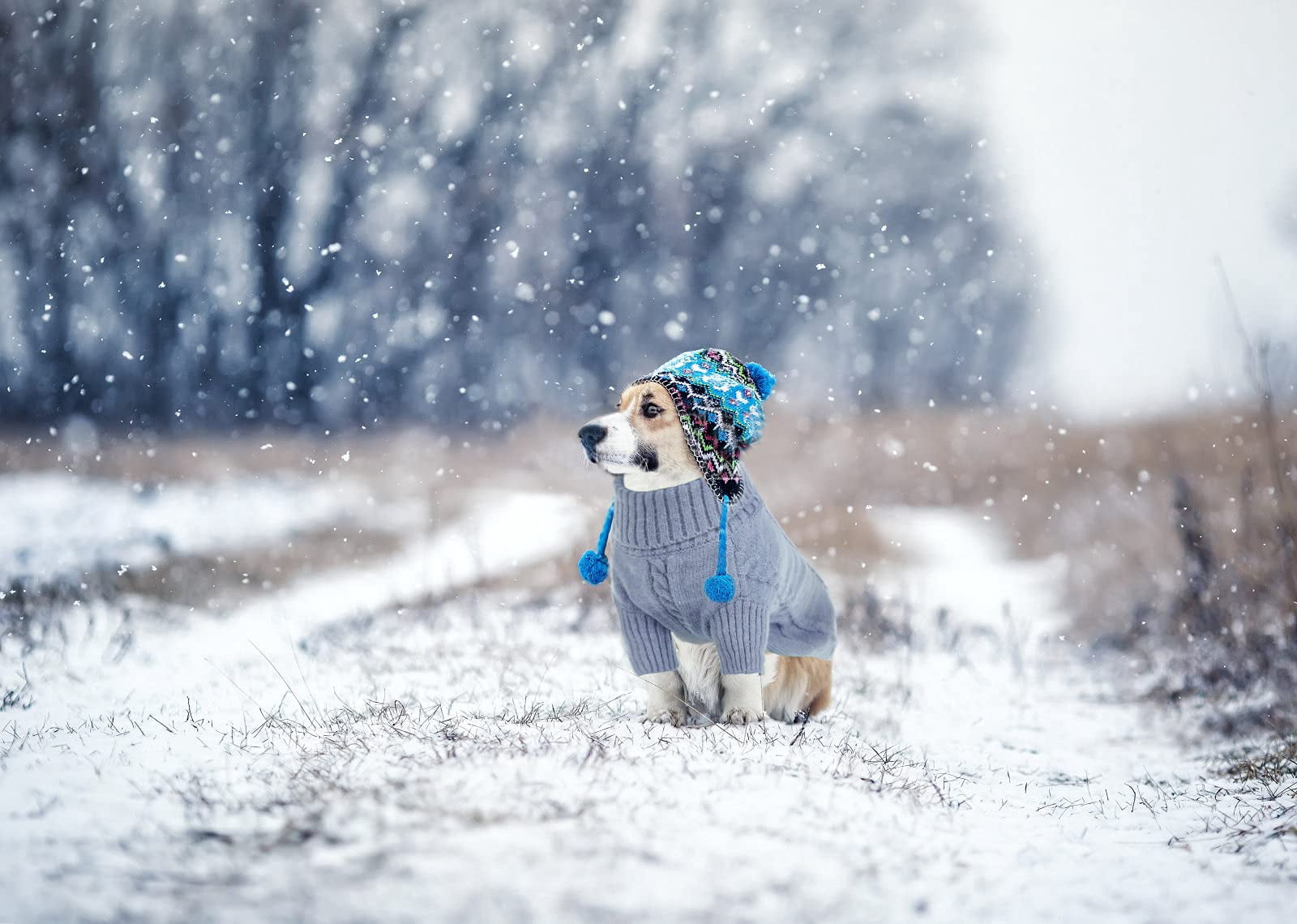 PayUSD Small Dog Pullover Sweater, Cold Weather Cable Knitwear, Classic Turtleneck Thick Warm Clothes for Chihuahua, Bulldog, Dachshund, Pug, Yorkie