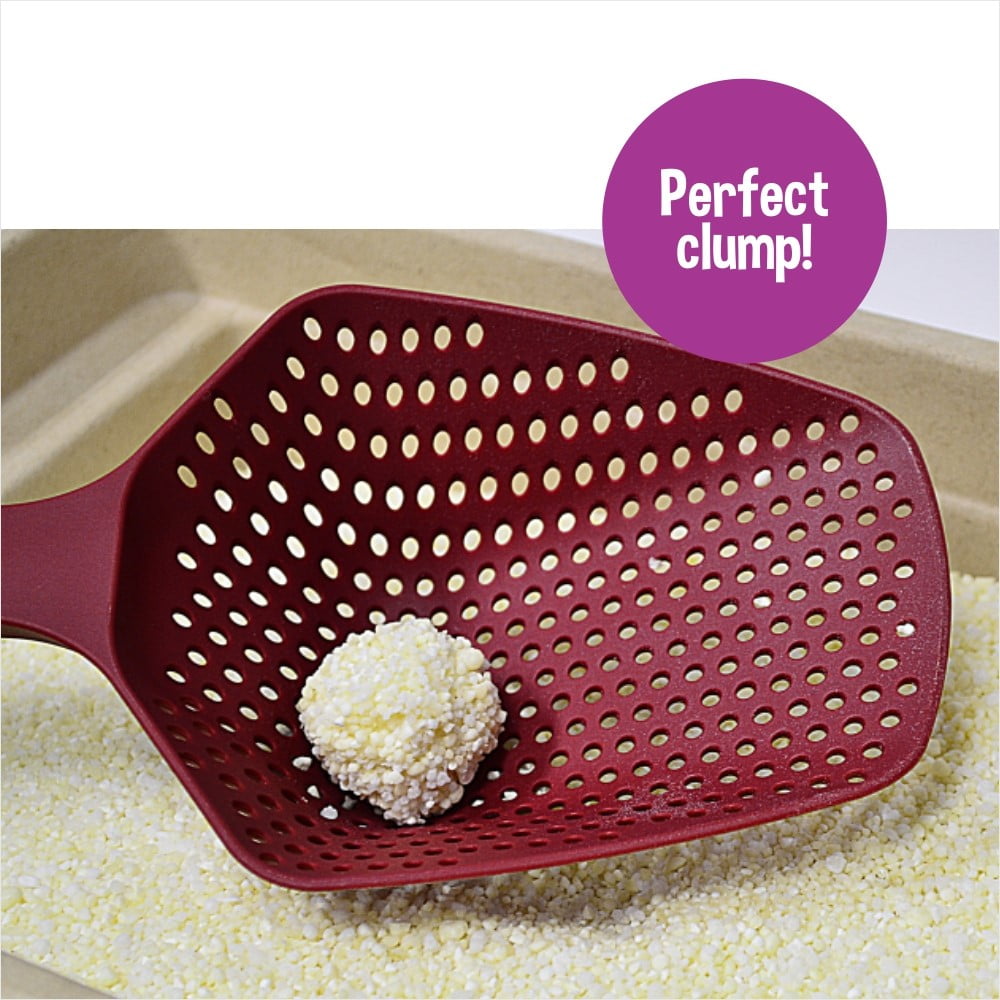 garfield cat litter walmart