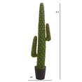 thumbnail image 2 of Pine Canopy Windflower Cactus Artificial Plant, 2 of 3