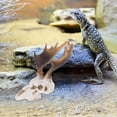 thumbnail image 4 of FUTUREORYY Para Terrario Con De Ciervo En Resina Para Refugio De Reptiles, 4 of 8
