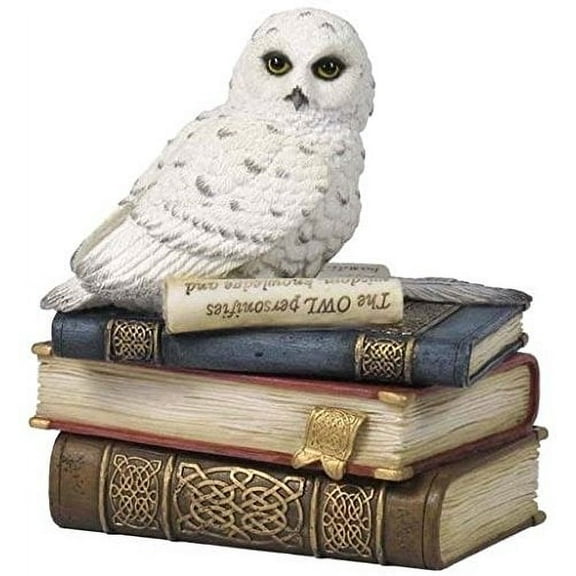 4.75 Inch Snow Owl on Books Decorative Trinket Box, White Color
